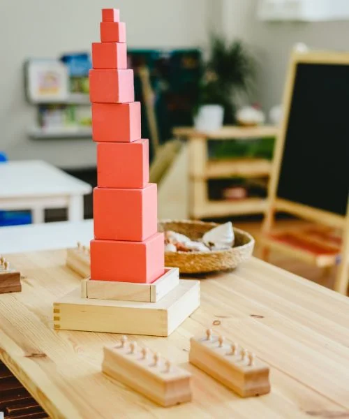 ISEIE-curso online Montessori