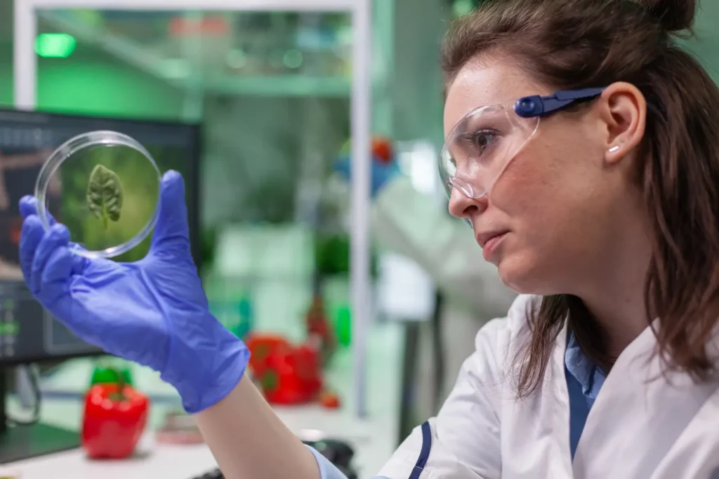 Maestría en biotecnología molecular 1