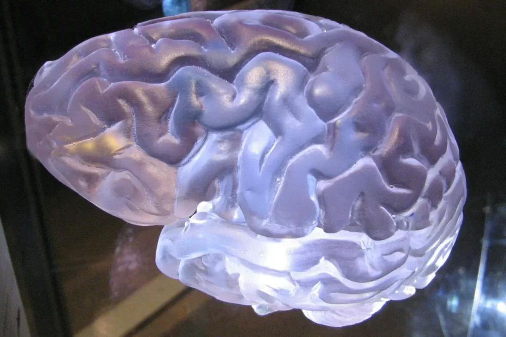 Curso-en-psicofarmacologia-1