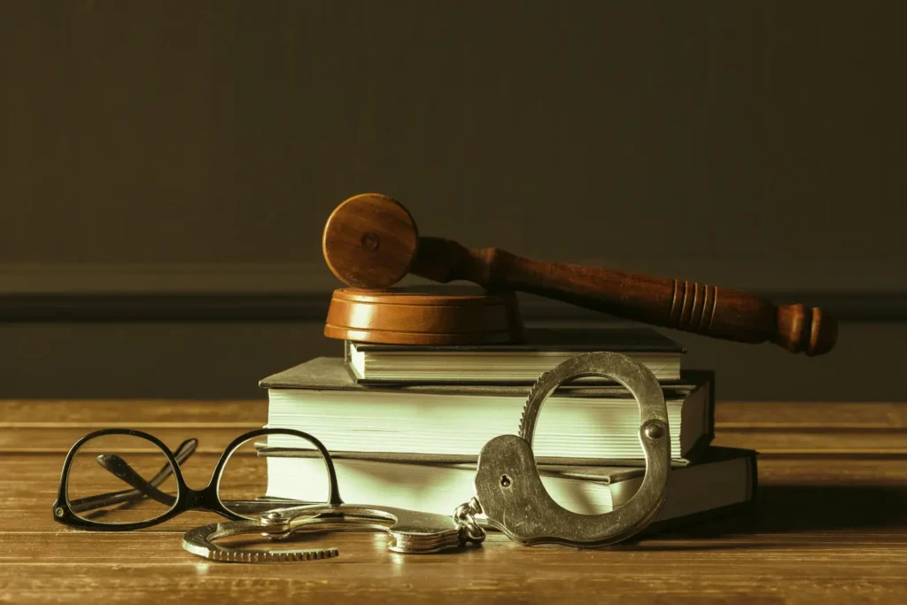 Derecho Penal Internacional y Derechos Humanos 2