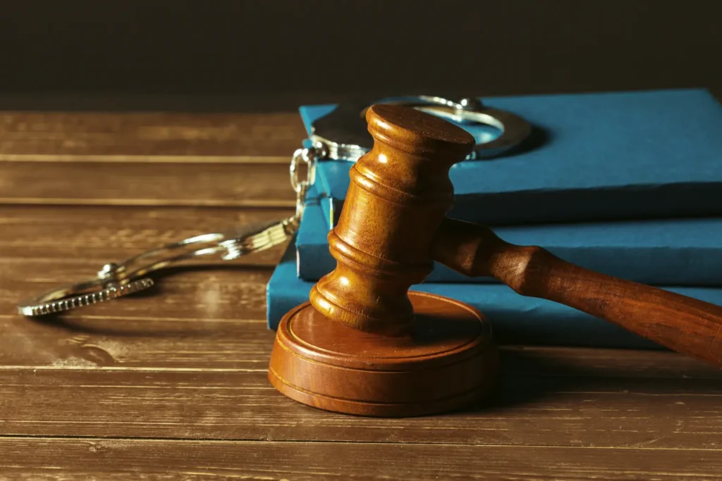Derecho Penal Internacional y Derechos Humanos 3