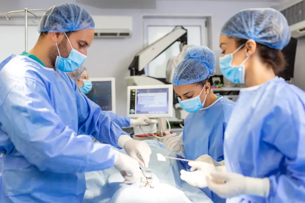 Curso de POCUS y Procedimientos Ecoguiados en Urgencias Veterinarias 1