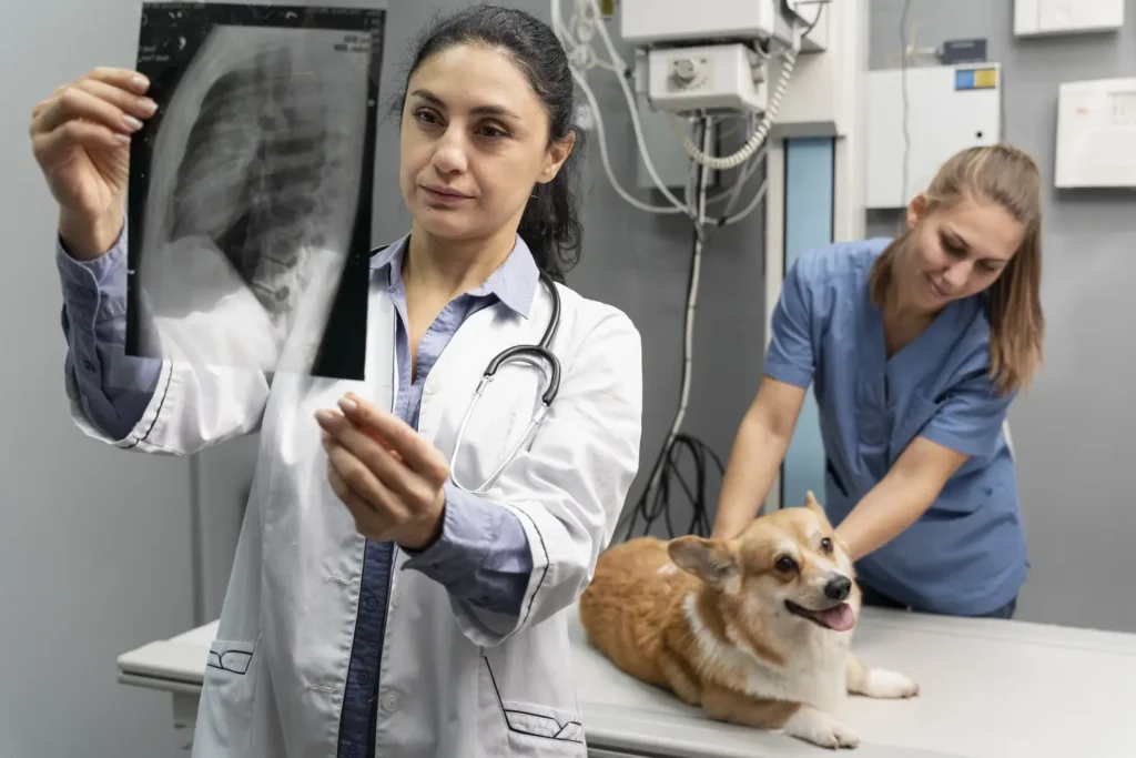 Diplomado en Atención Crítica Veterinaria Aplicada (ECCUCI) 2
