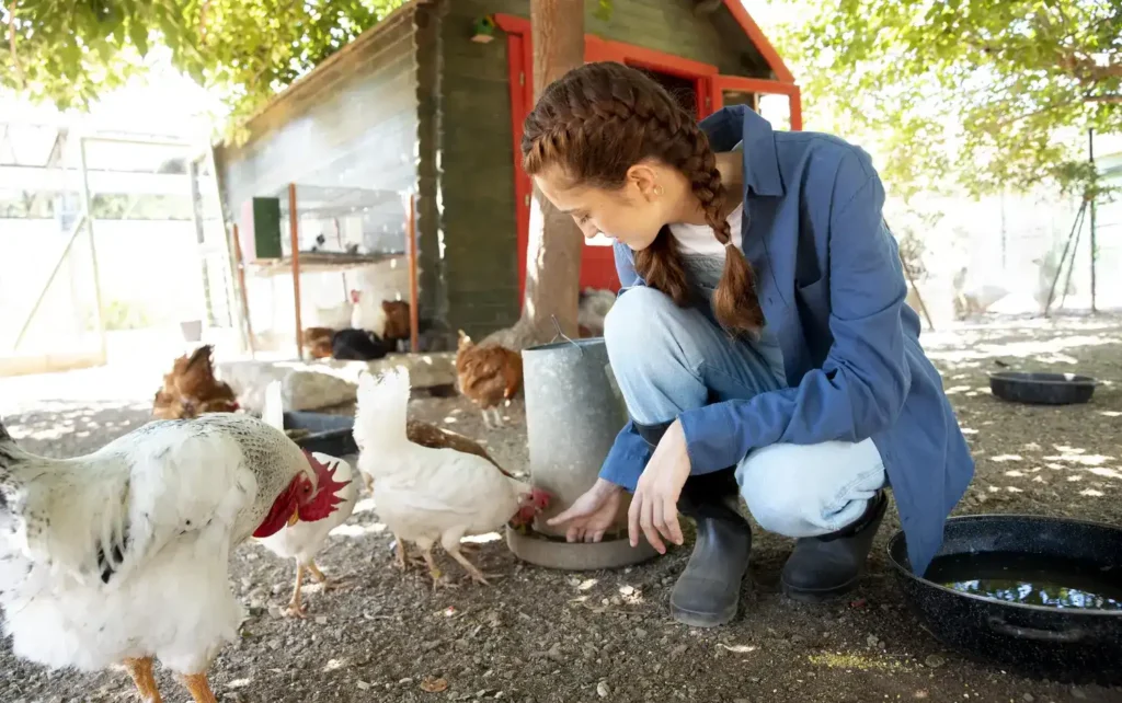Diplomado en Nutrición Aplicada y Control Metabólico en Pequeños Animales 1