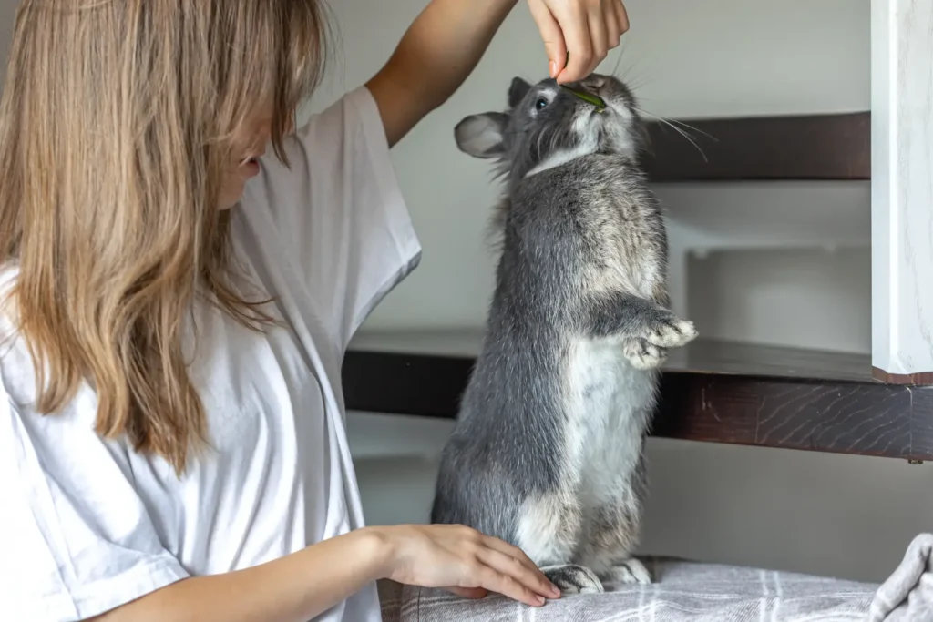 Máster en Nutrición Clínica y Gestión de Peso en Pequeños Animales 2