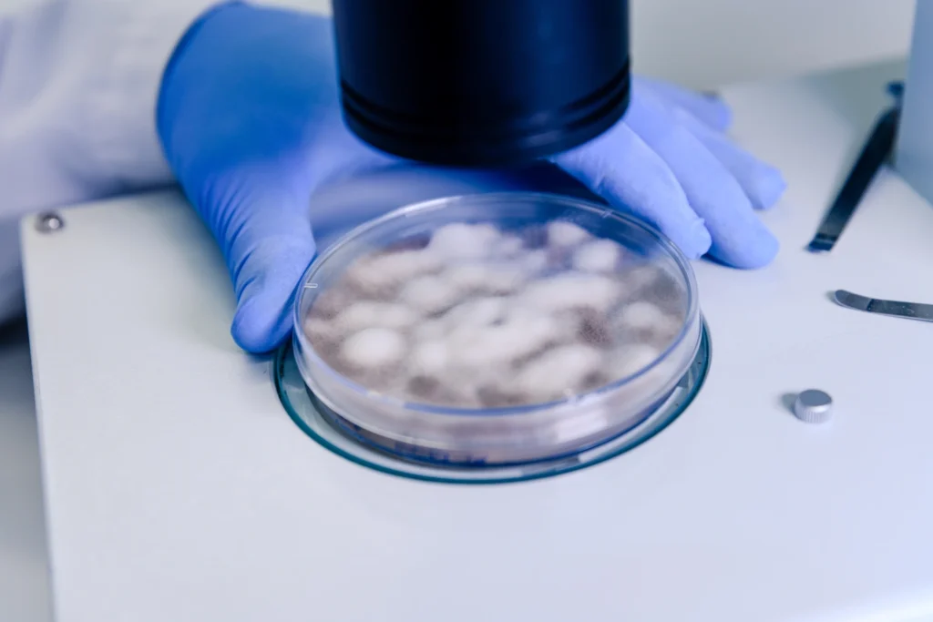 Diplomado en Tecnologías de Mitigación y Tratamiento de Microplásticos 1