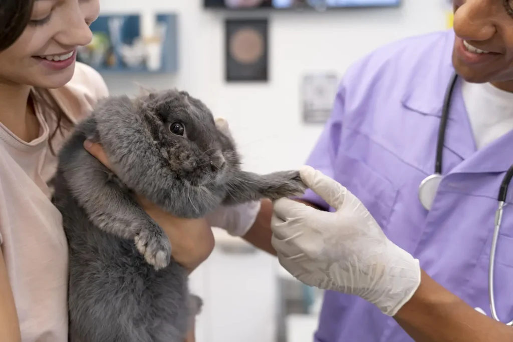 Maestría en Diagnóstico por Imagen en Pequeños Animales 1