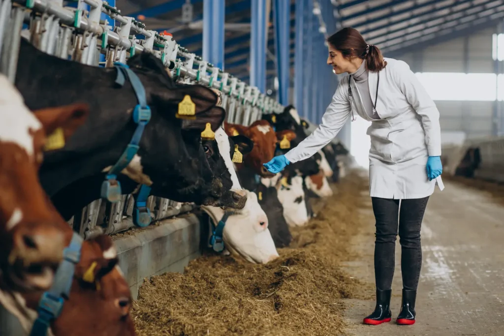 Maestría en Nutrición Clínica y Gestión de Peso en Pequeños Animales 1