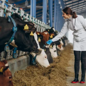 Maestría en Nutrición Clínica y Gestión de Peso en Pequeños Animales 1