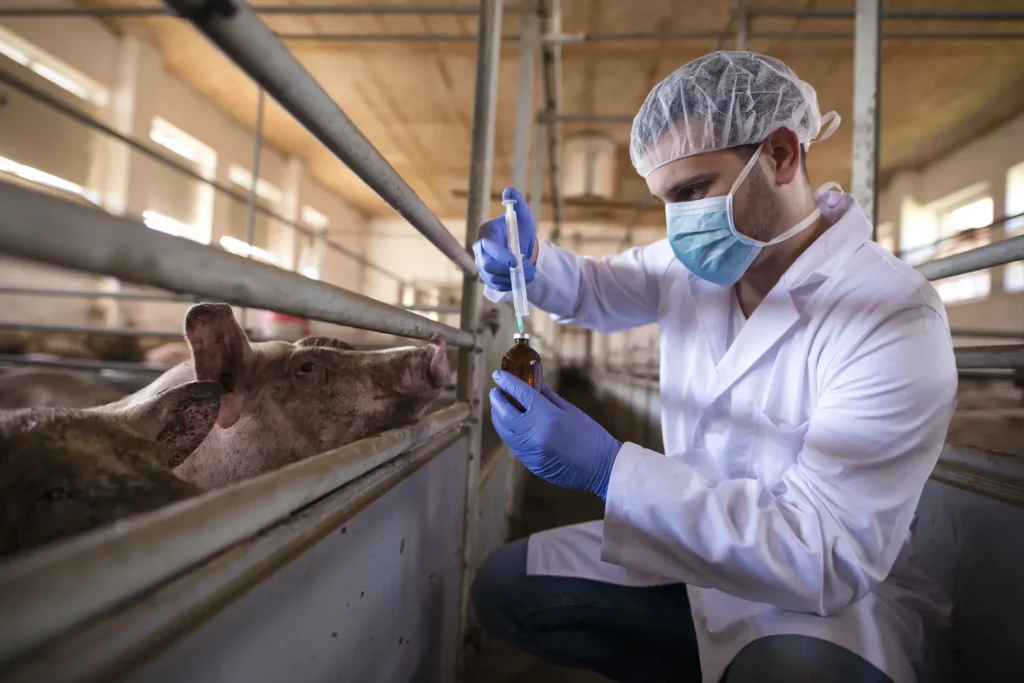 Maestría en Nutrición Clínica y Gestión de Peso en Pequeños Animales 3
