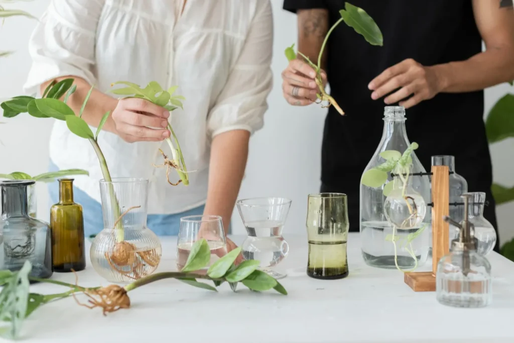 Maestría en Cosmética Natural y Orgánica Evidencia Límites y Formulación 3