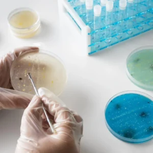 Cours d Analyse et d Identification des Microplastiques en Laboratoire 1