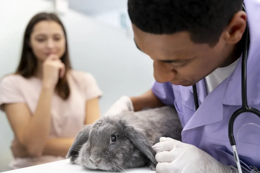 Master Professionnel en Urgences et Soins Intensifs des Petits Animaux 1