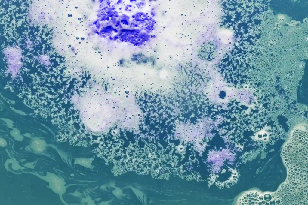 Cours de Surveillance et Échantillonnage des Microplastiques dans les Écosystèmes Aquatiques 3